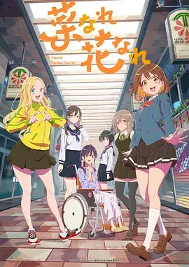 【日漫】亦叶亦花 菜なれ花なれ (2024) 日本动画-土拨鼠网盘库