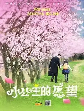 小公主的愿望 (2014) 动画治愈豆瓣7.2分童真梦想亲情泪目-土拨鼠网盘库