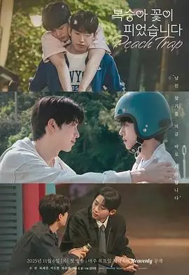 【韩剧】桃花开好了 (2025)同性双男主桃园重逢救赎-土拨鼠网盘库