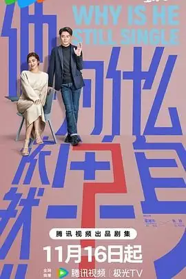【国剧】他为什么依然单身（2025）电视剧都市轻喜剧霍建华朱珠不婚主义爱情-土拨鼠网盘库