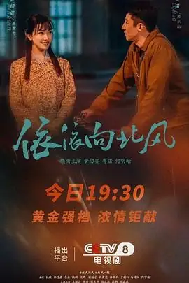 依依向北风 (2025) 年代励志剧菅纫姿鲁诺知青奋斗情感纠葛-土拨鼠网盘库