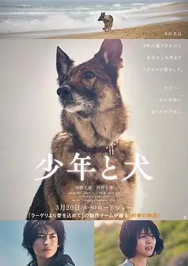 【日本冒险电影】少年与犬(2025) 松冈茉优主演人犬羁绊核心看点豆瓣8.2分-土拨鼠网盘库