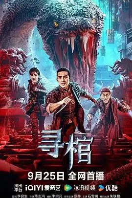 【国产动作奇幻冒险电影】寻棺 (2025) 张赫石雪婧抗战寻宝-土拨鼠网盘库
