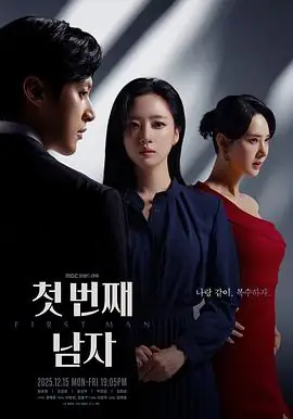 【韩剧】第一个男人 (2025)咸恩静吴贤庆双胞胎复仇恶女对决-土拨鼠网盘库
