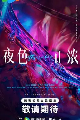 夜色正浓 (2026) 都市情感江疏影佟大为职场婚姻双面博弈-土拨鼠网盘库
