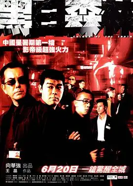 【港剧】黑白森林 (2003) 动作  惊悚  犯罪 主演 黄秋生  刘青云  陈小春-土拨鼠网盘库