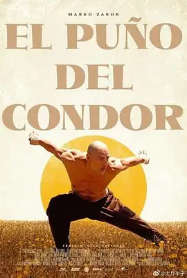 【欧美剧】雕形拳 El Puño del Cóndor (2023) 动作 智利-土拨鼠网盘库