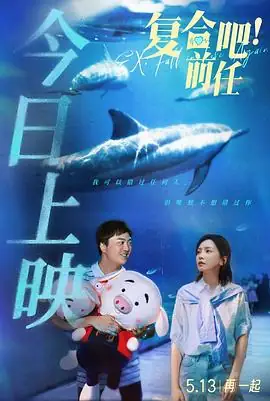 复合吧！前任 (2023) 爱情 主演 张一鸣  于文文-土拨鼠网盘库