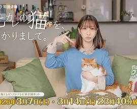 【日剧】我收留了前男友的猫  (2026)日本爱情奇幻柏木由纪会说话的猫撮合新恋-土拨鼠网盘库