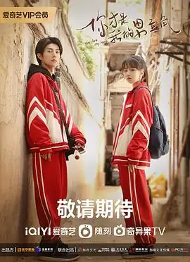 奔赴星辰的我们 (2024)中国大陆青春校园剧刘家祎吴芊盈姐姐被外星人掳走的奇幻校园故事-土拨鼠网盘库