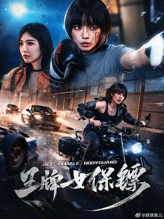 《王牌女保镖》(2026)中国大陆动作冒险陆子曹雷为真相孤身一战-土拨鼠网盘库