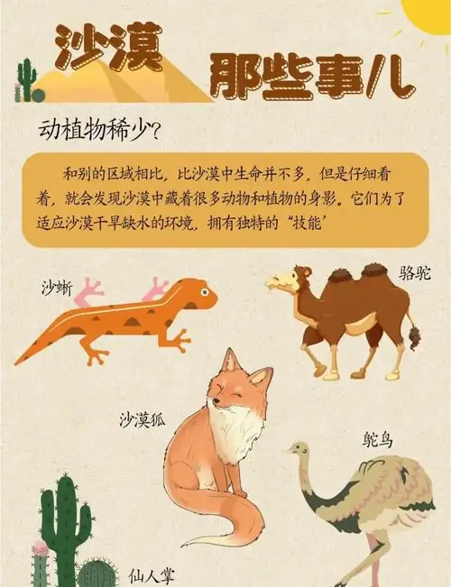 儿童奇趣动植物，中外地理奇观，中外人文历史纪录片122部-土拨鼠网盘库