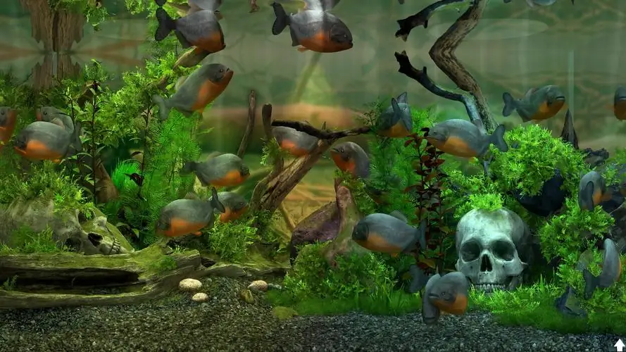 图片[2]-玻璃背后：水族馆模拟器Behind.Glass.Aquarium.Simulator.v20240109-土拨鼠网盘库